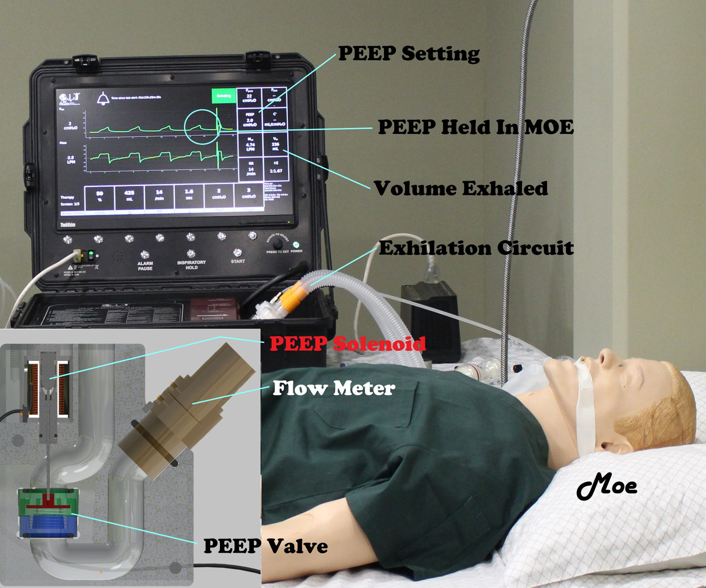 Training Use Ventilator