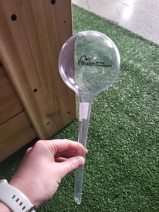 Self-watering Globes