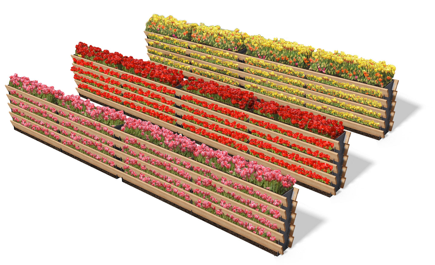 Modular Garden Gift Card